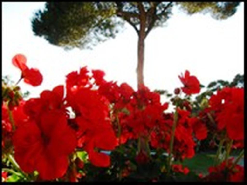 La Tangana Bed & Breakfast Rognes Exterior foto