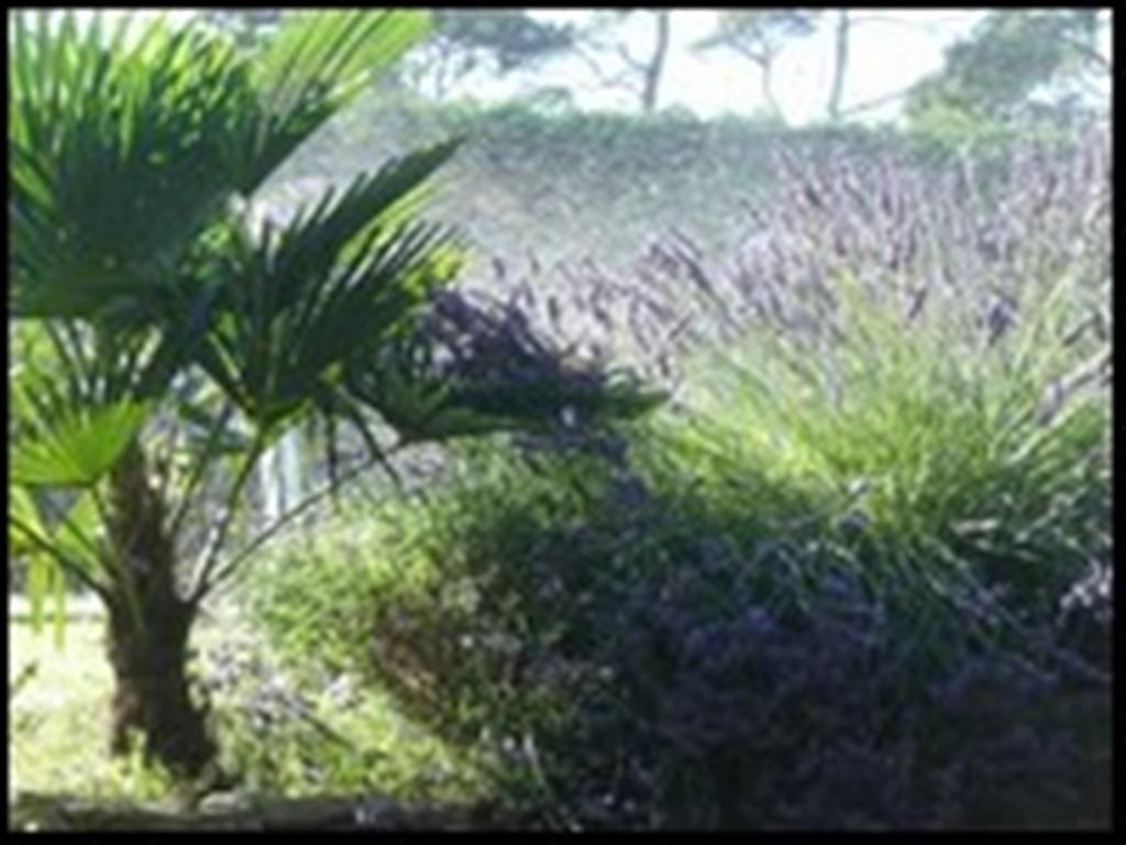 La Tangana Bed & Breakfast Rognes Exterior foto